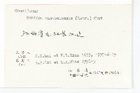 廣東葶藶藏品圖，第3張