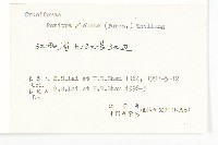 風花菜、球果山芥菜藏品圖，第3張