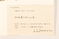 鼠麴草藏品圖，第3張