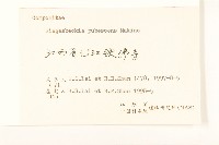 腺梗豨薟藏品圖，第3張