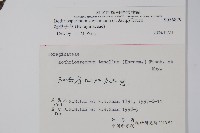 細纍子草藏品圖，第2張