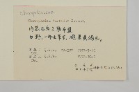 菊葉香藜藏品圖，第2張