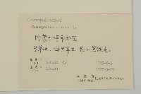 灰綠藜藏品圖，第2張