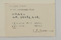 山螞蚱藏品圖，第2張