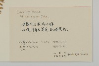 匍生蠅子草藏品圖，第2張
