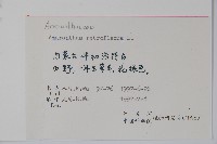 反枝莧藏品圖，第2張