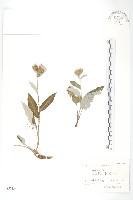 登錄號:S057134藏品圖，第1張