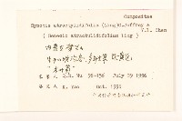 禾葉尾藥菊藏品圖，第2張