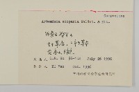 黃蒿藏品圖，第2張