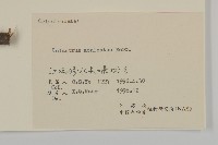 過山楓藏品圖，第3張