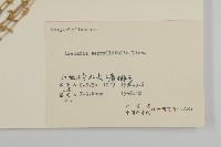 無心菜、鵝不食草藏品圖，第3張