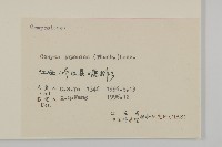 日本假蓬藏品圖，第3張