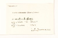 兔仔菜藏品圖，第3張