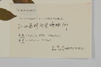 雷公藤藏品圖，第3張