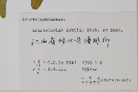 馬兜鈴藏品圖，第2張