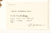 蒲兒根藏品圖，第3張