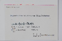 毛漆樹藏品圖，第2張