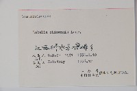 半邊蓮、鐮磨仔草藏品圖，第2張