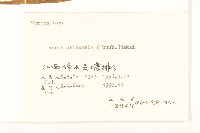 兔仔菜藏品圖，第3張