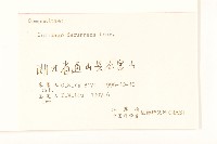 一枝黃花藏品圖，第3張