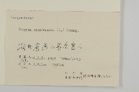 加拿大蓬藏品圖，第3張