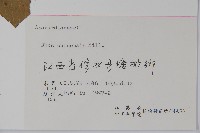 鹽膚木藏品圖，第2張