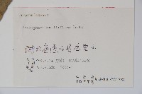 杏葉沙參藏品圖，第2張