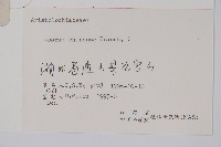 細辛藏品圖，第2張