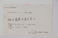 杏葉沙參藏品圖，第2張