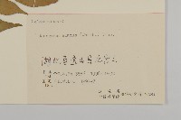 衛矛藏品圖，第3張