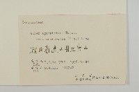 微糙三脈紫菀藏品圖，第3張