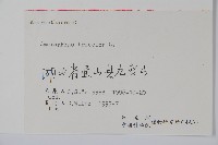 雁來紅、紅莧、老少年藏品圖，第2張