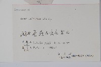 雞爪槭藏品圖，第2張