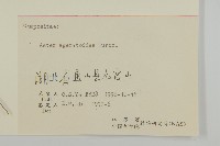 山白蘭藏品圖，第3張