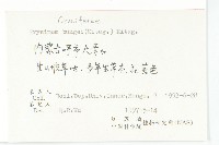 糖芥藏品圖，第2張