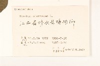 苦滇菜、苦菜藏品圖，第3張