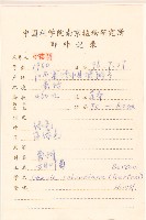 甜葉菊藏品圖，第2張