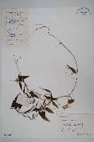 七層樓藏品圖，第1張