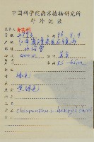 寬葉金粟蘭藏品圖，第2張