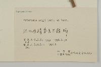 艾蒿藏品圖，第3張