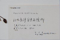 登錄號:S057857藏品圖，第2張