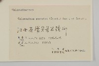 及己藏品圖，第3張