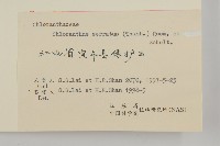 及己藏品圖，第3張