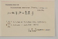 及己藏品圖，第3張