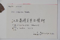 冬青藏品圖，第2張