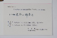 榛樹藏品圖，第2張