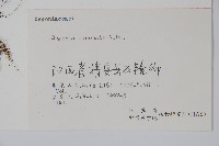 中華秋海棠藏品圖，第2張