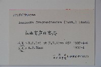 四月紅藏品圖，第2張