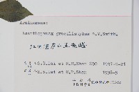 五加藏品圖，第2張