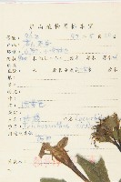 括樓藏品圖，第2張